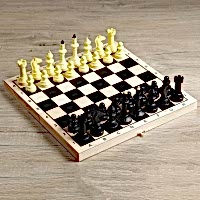 Турнирные шахматы и доска - «site66.local» - Алматы