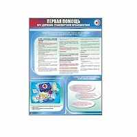 Стенды "Первая помощь при дорожно-транспортном происшествии" - «site66.local» - Алматы