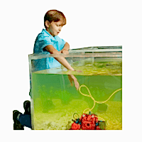 Опытовый аквакомплект для занятий подводной робототехникой №1 - «site66.local» - Алматы