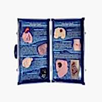 Учебно-демонстрационный кейс "Последствия употребления наркотиков" - «site66.local» - Алматы